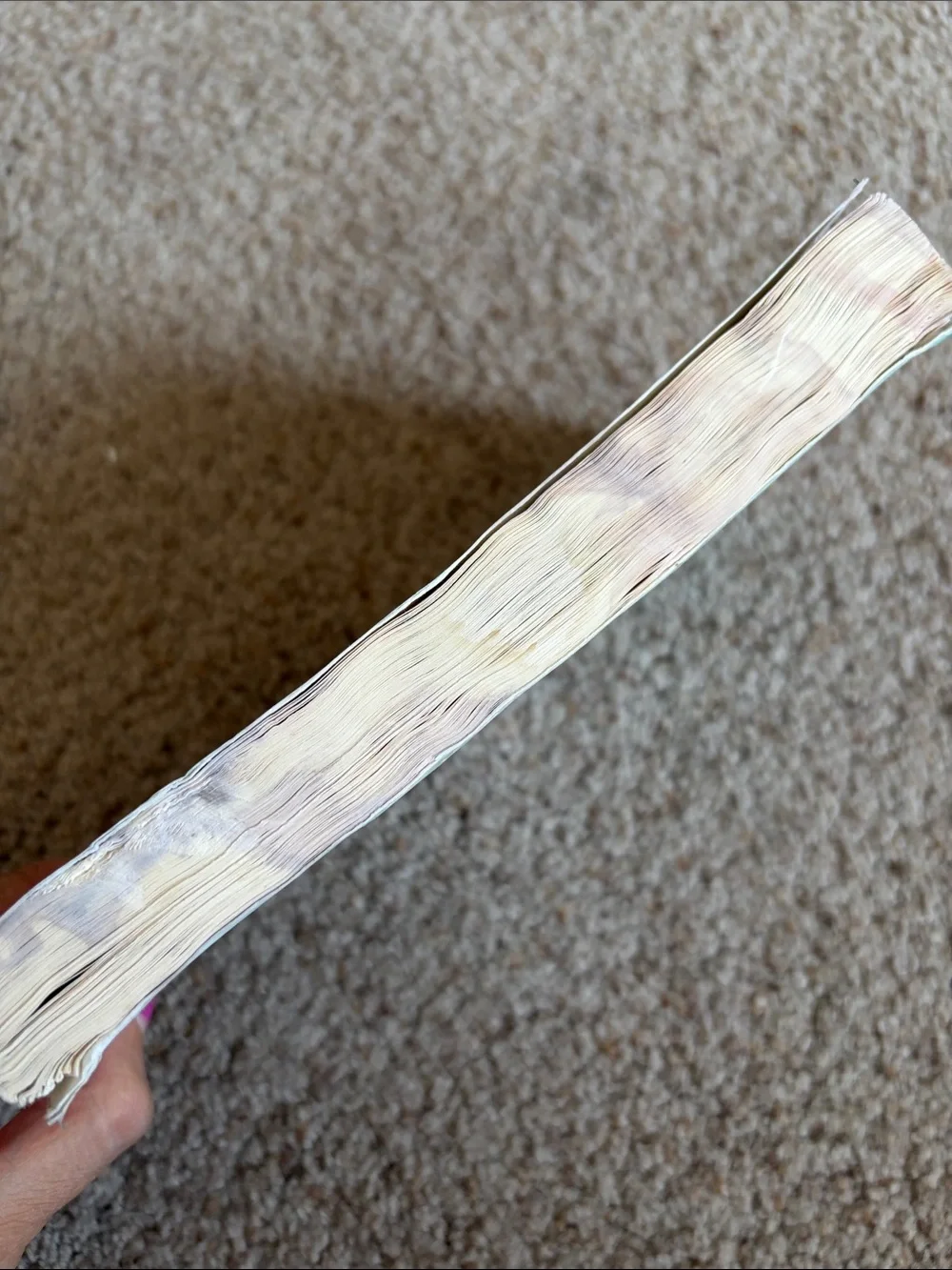 Margaritaville Paperback Book - Light Blue Cover